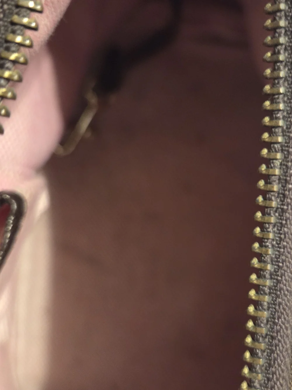 Dooney & Bourke signature db